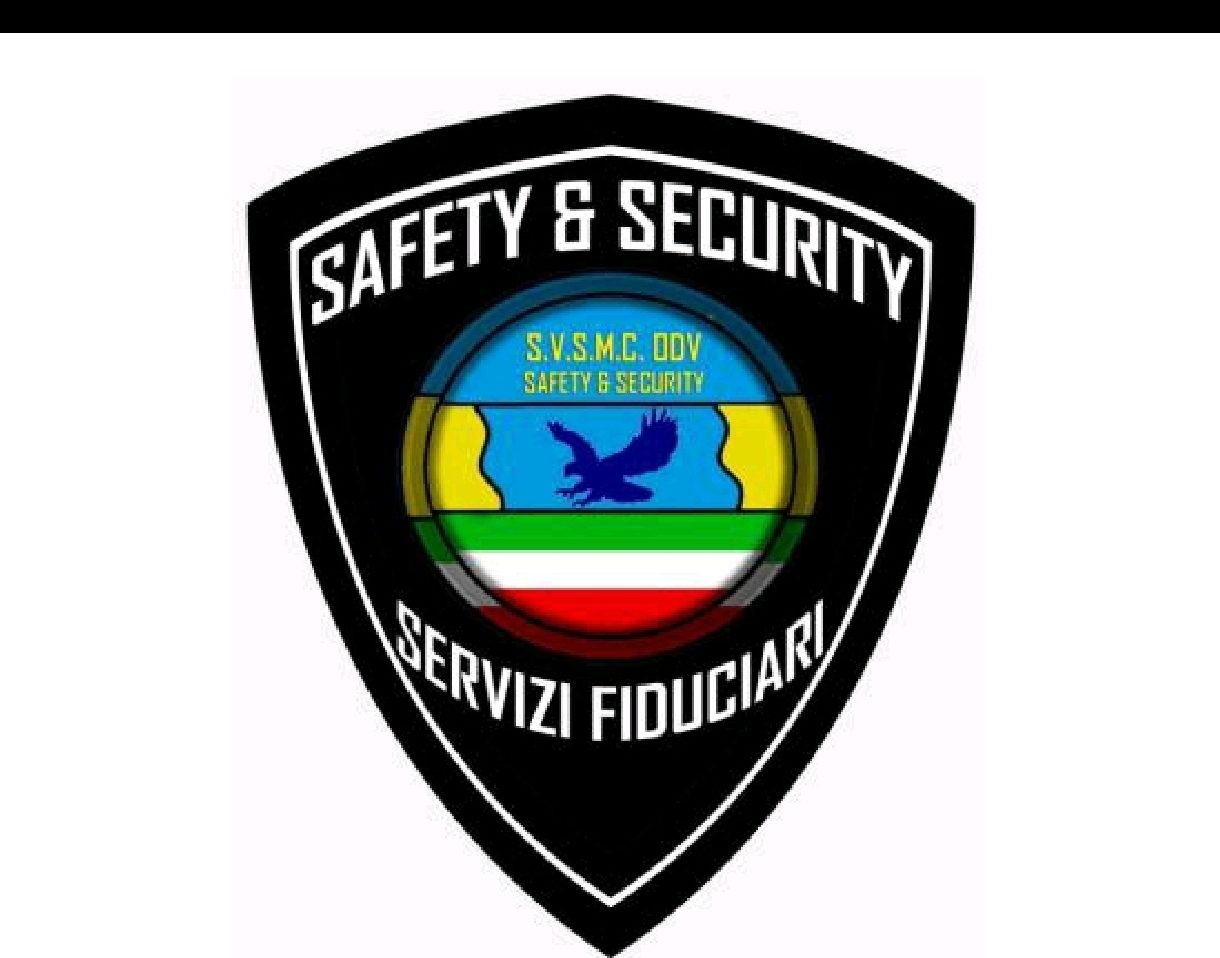 Servizio di sicurezza Safety & Security durante una manifestazione pubblica