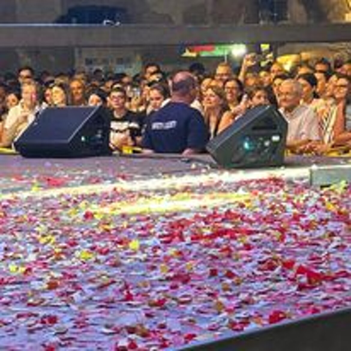 Servizio di sicurezza in un concerto con grande pubblico