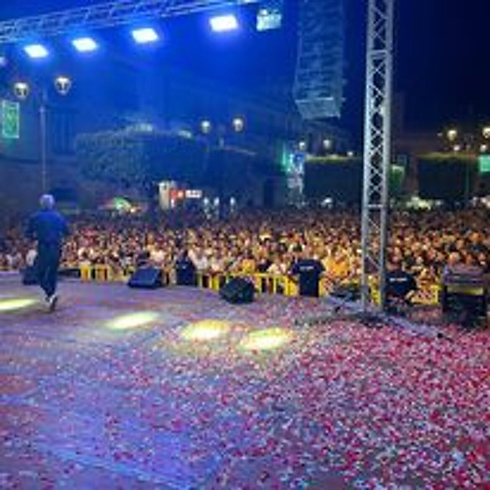 Servizio sicurezza — concerto estivo